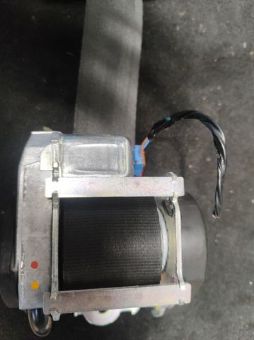 868843983R RENAULT купить в Ужгород