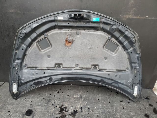 F5100CA0MM NISSAN Капот купить в Кривой Рог