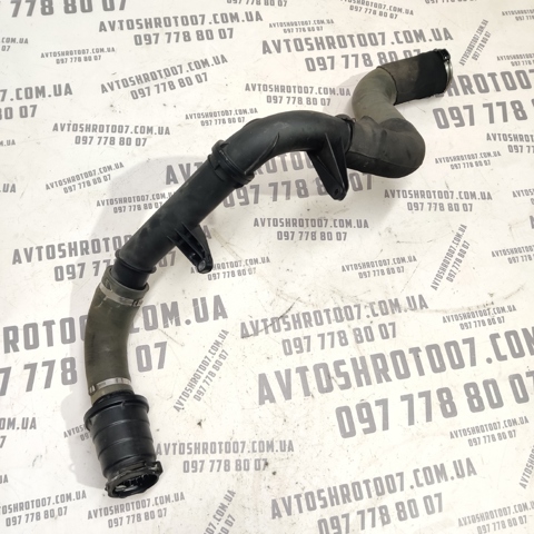 1065332S01 RENAULT Патрубок интеркулера купить в Запорожье