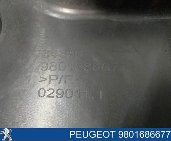 PEUGEOT 9801686677 Бампер задний в наличии Черновцы