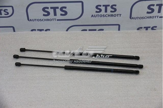 A2539801164 MERCEDES Амортизатор капота левый купить в Кривой Рог