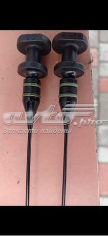 11437800091 BMW Щуп (индикатор) уровня масла в двигателе купить в Днепр