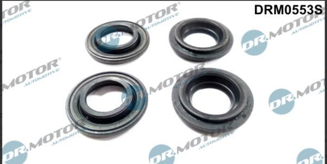 Уплотнительные кольца свечных каналов DRM0553S DR.MOTOR