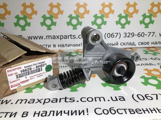 1660128020 TOYOTA Натяжитель приводного ремня купить в Житомир