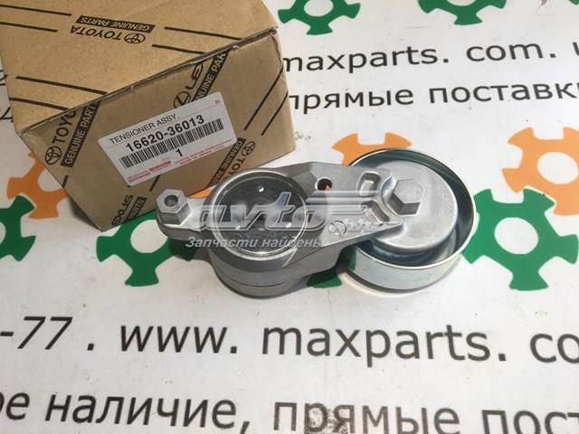 1662036010 Натяжитель приводного ремня купить Одесса