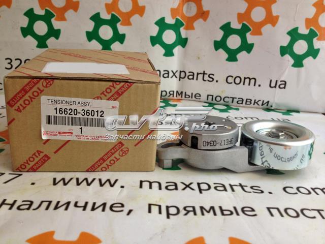 TOYOTA 1662036010 Натяжитель приводного ремня в наличии Житомир