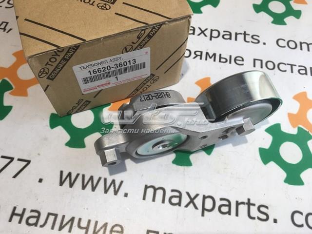 TOYOTA 1662036010 Натяжитель приводного ремня в наличии Кривой Рог