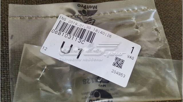 VAG 06B103113C Заглушка ГБЦ в наличии Ровно