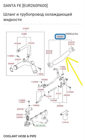Патрубок системи охолодження Хендай Грандер