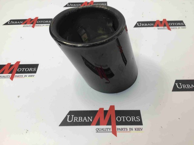 Наонечник глушителя 18307612731 BMW