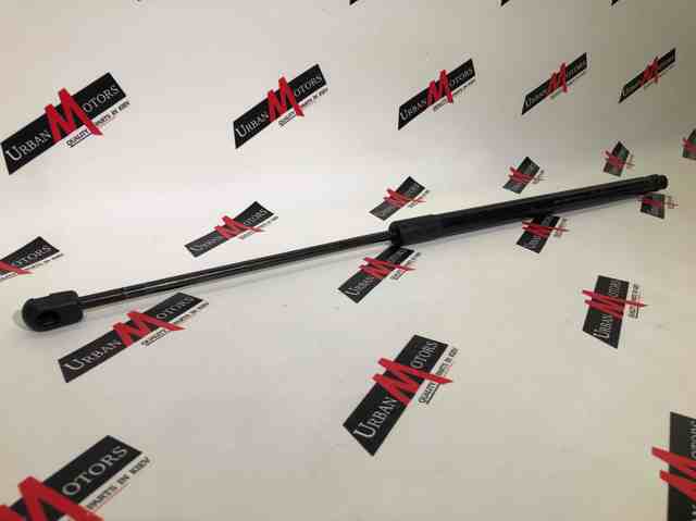 A2039800164 Амортизатор багажника купить Тернополь