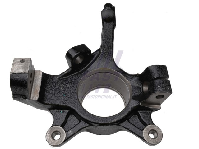 Цапфа поворотного кулака FT13520 FAST