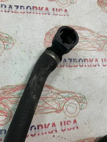 17127598248 BMW Шланг (патрубок) радиатора охлаждения нижний купить в Львов
