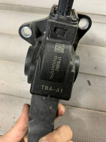 HONDA 17800TBAA11 в наличии Черновцы