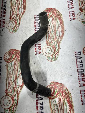 215034GB0A NISSAN Шланг (патрубок) радиатора охлаждения нижний купить в Киев