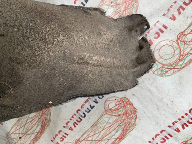 6563705010 TOYOTA Подкрылок крыла заднего правый купить в Харьков
