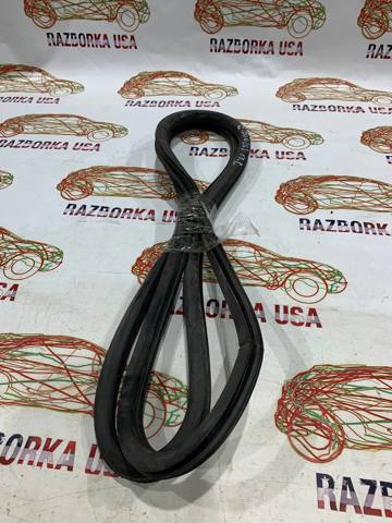 Уплотнитель двери передней, на (кузове) 68145007AB CHRYSLER