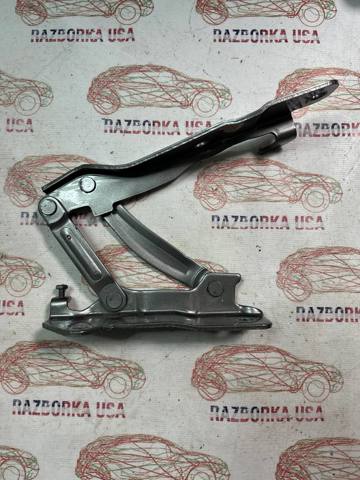 79110B2000 HYUNDAI Петля капота левая купить в Хмельницкий