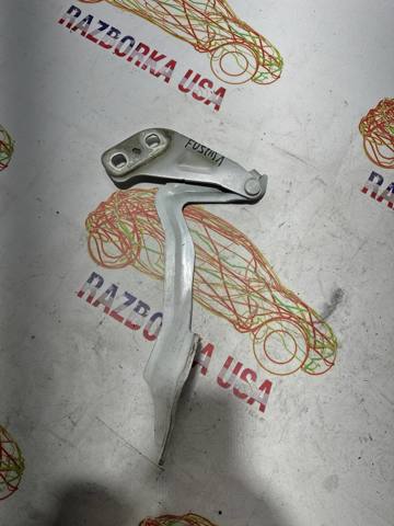 DS7Z16797A FORD Петля капота левая купить в Кривой Рог