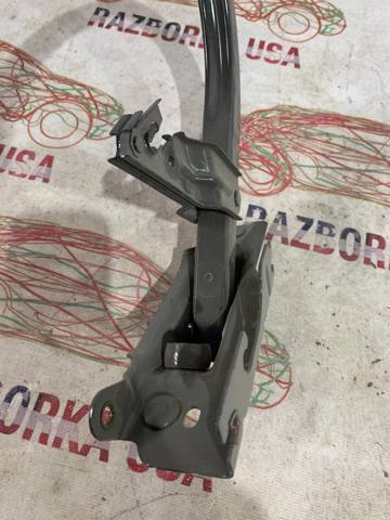 FORD DS7Z5442700L Петля крышки багажника в наличии Одесса