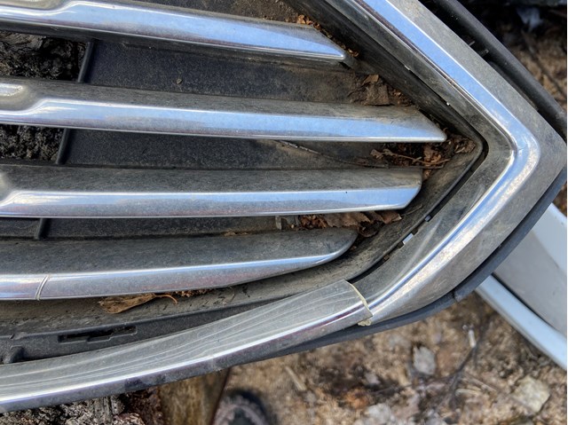 DS7Z8200BA FORD Решетка радиатора купить в Хмельницкий