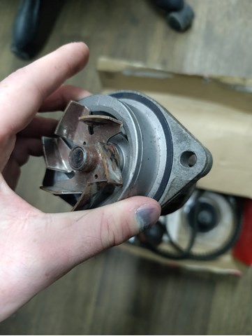 K025565XS Комплект ГРМ купить Ирпень