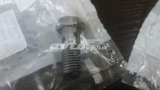 PEUGEOT 037957 Болт трубки турбины подачи масла в наличии Одесса