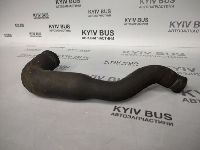 A9015012582 Шланг (патрубок) радиатора охлаждения нижний купить Винница