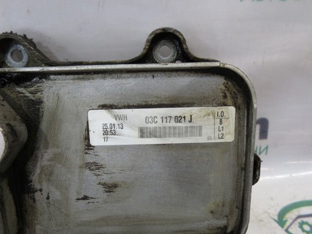 03C117021J Радиатор масляный купить Черновцы