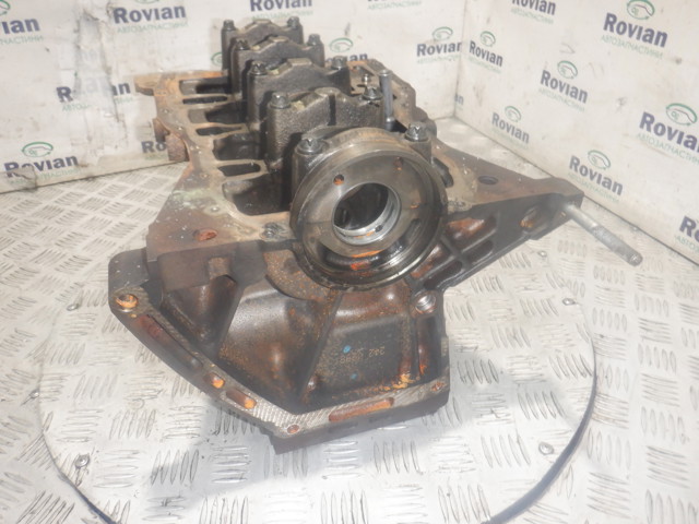 110103691R RENAULT Блок цилиндров двигателя купить в Павлоград