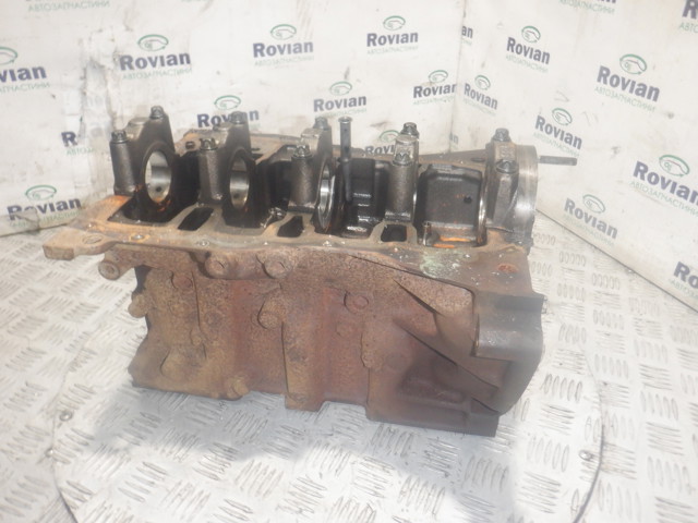 RENAULT 110103691R Блок цилиндров двигателя в наличии Запорожье