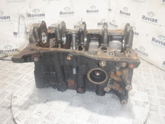 Блок цилиндров 110103691R RENAULT