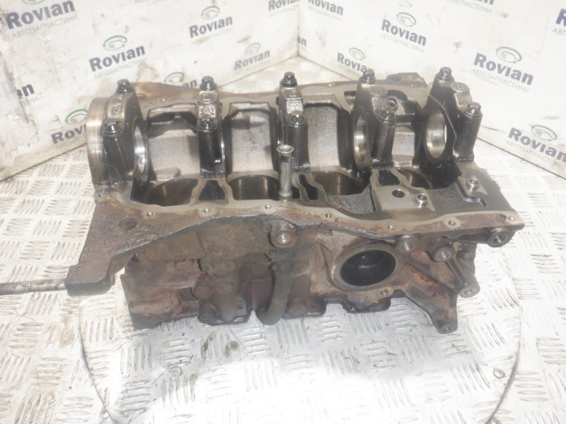 Пенек 110104767R RENAULT