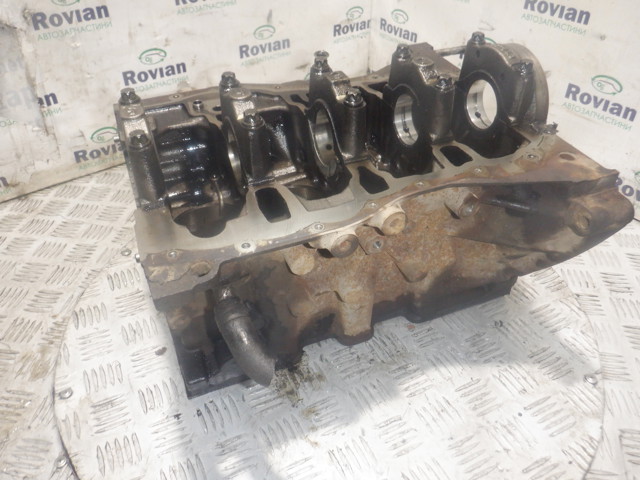 110104767R RENAULT Блок цилиндров двигателя купить в Житомир