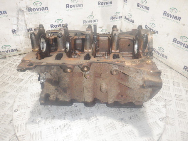 110109529R RENAULT Блок цилиндров двигателя купить в Ровно
