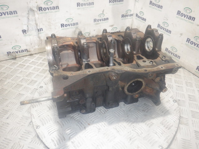 Блок цилиндров 110109529R RENAULT
