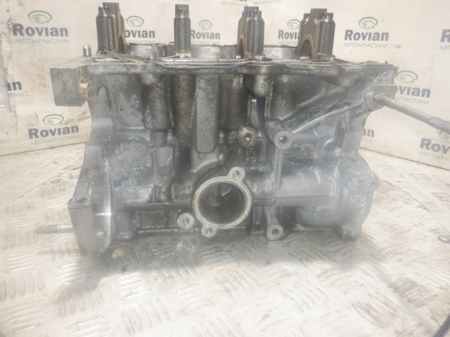 110116559R RENAULT Двигатель в сборе купить в Кривой Рог