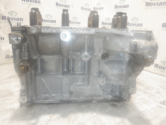 110116559R RENAULT Двигатель в сборе купить в Тернополь