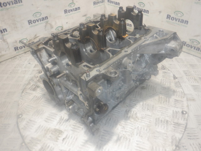 Двигатель в сборе 110116559R RENAULT