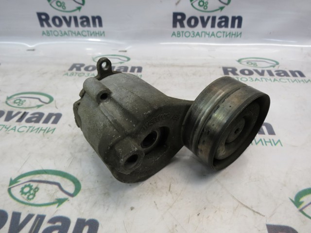Натяжитель клинового ремня 117500001R RENAULT