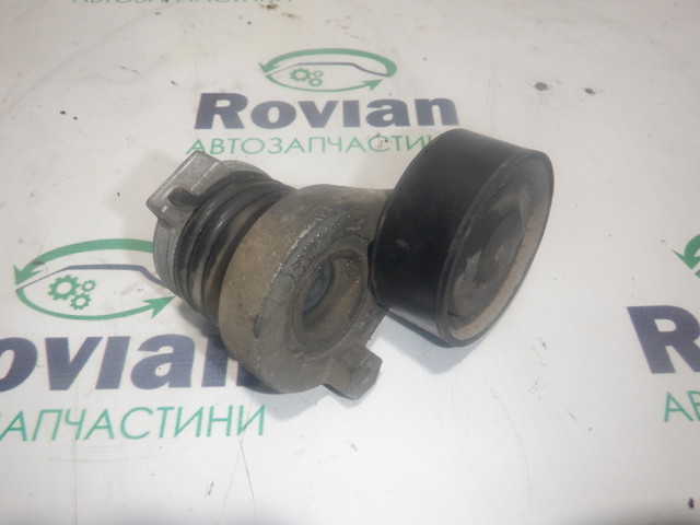 Ролик натяжителя приводного ремня 117504048R RENAULT