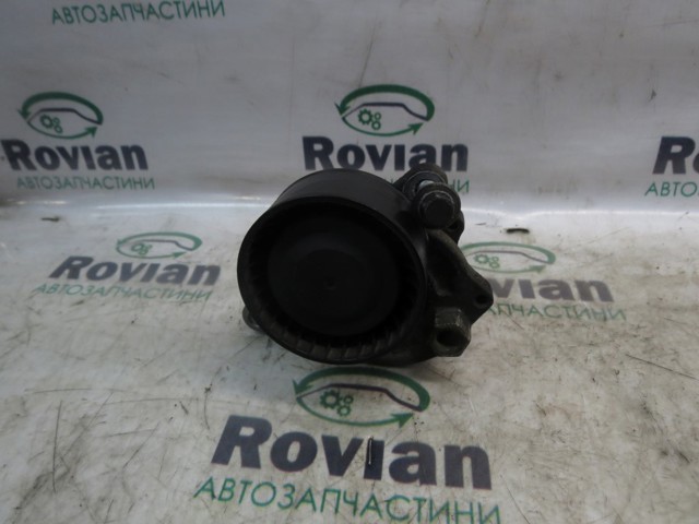 Натяжная планка поликлинового ремня 117505337R RENAULT
