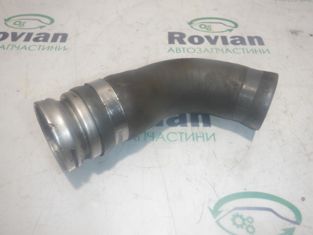 Шланг интеркуллера 144600661R RENAULT