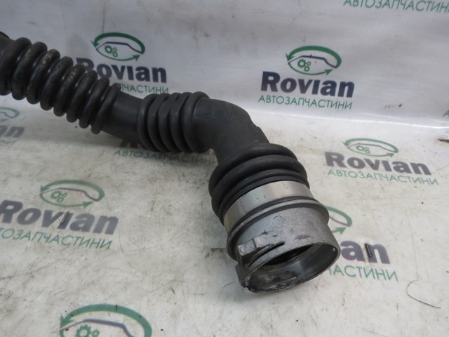144602899R RENAULT Шланг (патрубок) интеркуллера купить в Украина