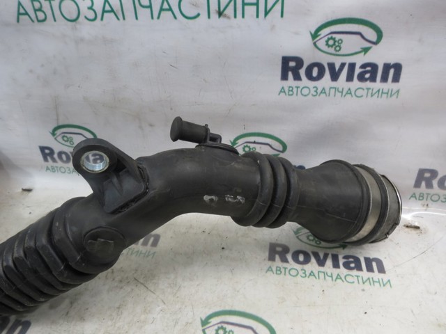 144602899R Патрубок интеркулера купить Черновцы