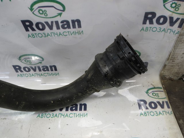 144603415R RENAULT Шланг (патрубок) интеркуллера купить в Запорожье