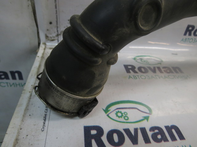 RENAULT 144604599R Патрубок интеркулера в наличии Днепр