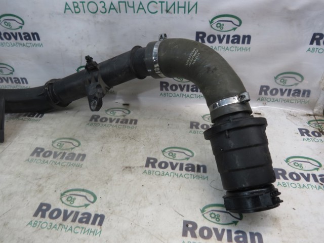Шланг/патрубок интеркуллера 144605705R RENAULT