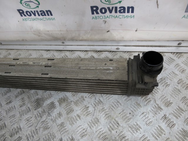 144960006R RENAULT Радиатор интеркуллера купить в Черновцы