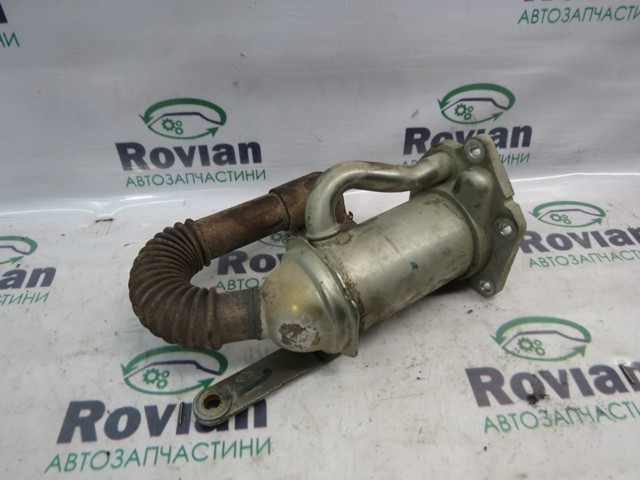 Шланг (патрубок) радиатор EGR, подача 147350718R RENAULT